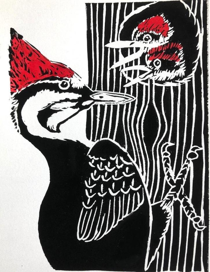 Linodruk van een specht met jongen (kleuren), Antiek en Kunst, Kunst | Litho's en Zeefdrukken, Ophalen of Verzenden