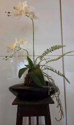 Ikebana style bloemstuk orchidee in ptmd houten schaal, Huis en Inrichting, Ophalen of Verzenden, Zo goed als nieuw, Binnen
