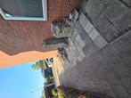 Gratis stenen  op te halen, Tuin en Terras, Tegels en Klinkers, Ophalen of Verzenden, Zo goed als nieuw, Beton, Klinkers