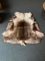 Prachtig hertenhuid 30 euro., Ophalen of Verzenden, Zo goed als nieuw