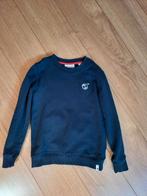 Scotch and soda trui, Trui of Vest, Ophalen of Verzenden, Zo goed als nieuw, Scotch & Soda