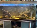 Groot Aqualantis aquarium, Ophalen, Zo goed als nieuw, Leeg aquarium
