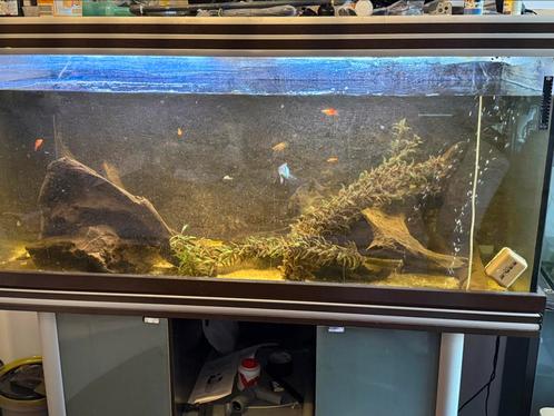 Groot Aqualantis aquarium, Dieren en Toebehoren, Vissen | Aquaria en Toebehoren, Zo goed als nieuw, Leeg aquarium, Ophalen