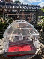 parkietenkooi met toebehoren,60cm lang,36cm breed,66cm hoog., Dieren en Toebehoren, Ophalen, Zo goed als nieuw, Metaal, Vogelkooi