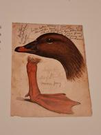 Les Oiseaux - Jonathan Elphick (Frans), Ophalen of Verzenden, Zo goed als nieuw, Vogels