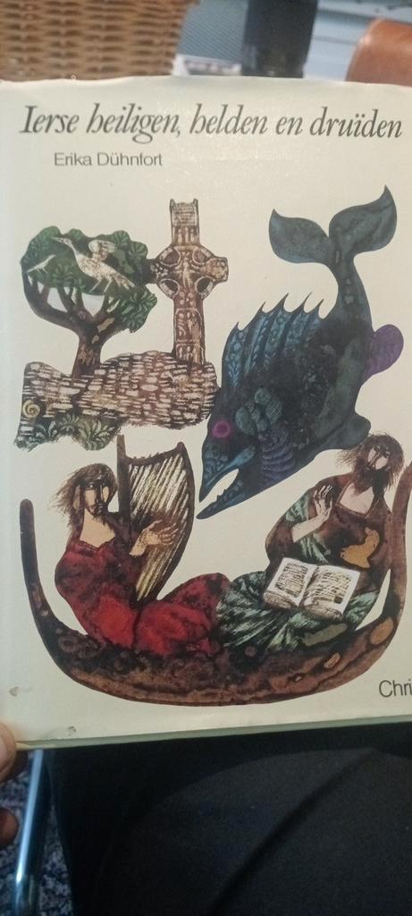 Ierse heiligen, helden en druïden - Erika Dühnfort, Boeken, Godsdienst en Theologie, Gelezen, Christendom | Katholiek, Overige religies