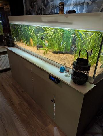 2 meter aquarium beschikbaar voor biedingen