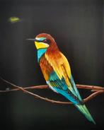 bijeneter #bee_eater, Antiek en Kunst, Kunst | Schilderijen | Modern, Ophalen of Verzenden