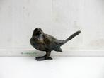229* Bronzen Roodstaart (Boven €75 geen verzendkosten), Ophalen of Verzenden, Nieuw, Overige materialen, Dierenbeeld