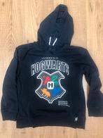 Donkere hoodie van Harry Potter, Jongen of Meisje, Trui of Vest, Ophalen of Verzenden, Zo goed als nieuw