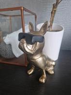 Nieuw! Goudkleurig Bulldog beeld met zonnebri, Huis en Inrichting, Woonaccessoires | Overige, Ophalen of Verzenden, Nieuw