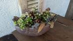 Droogbloemen met pot, Ophalen, Zo goed als nieuw, Rechthoekig, Steen of Aardewerk