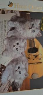 Kittens Puzzel - Zo Goed Als Nieuw!, Ophalen, Zo goed als nieuw, Legpuzzel