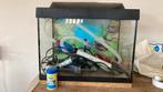 Aquarium met toebehoren, Dieren en Toebehoren, Ophalen, Zo goed als nieuw, Leeg aquarium