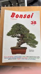 Bonsai today 26 stuks, Ophalen of Verzenden