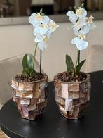 schelpen bloempoten met nep orchidee, Ophalen, Zo goed als nieuw