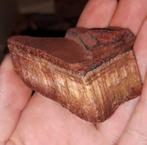 Gave Haviksoog edelsteen verzameling edelstenen stenen, Verzamelen, Mineralen en Fossielen, Ophalen of Verzenden