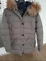 Maison Scotch winterjas taupe maat 2, Ophalen of Verzenden, Zo goed als nieuw, Maison Scotch