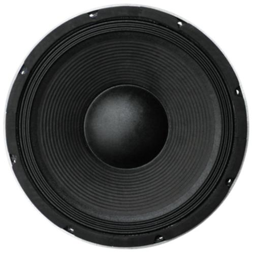 30 Cm Bass Speaker 350 Watt 8 Ohm, Audio, Tv en Foto, Luidsprekers, Nieuw, 120 watt of meer, Overige merken, Ophalen of Verzenden