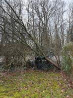 Haardhout gratis, Tuin en Terras, Minder dan 3 m³, Ophalen, Eikenhout, Blokken