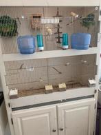 Vogelkooi, Dieren en Toebehoren, Vogels | Hokken en Kooien, Ophalen of Verzenden, Gebruikt