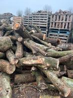 Stammen essenhout, Tuin en Terras, Minder dan 3 m³, Ophalen