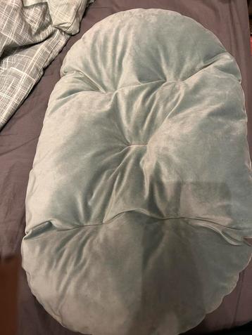 Kussen, kleed voor Kat/Kleine Hond beschikbaar voor biedingen