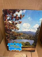 Puzzle Jumbo, Ophalen of Verzenden, 500 t/m 1500 stukjes, Zo goed als nieuw