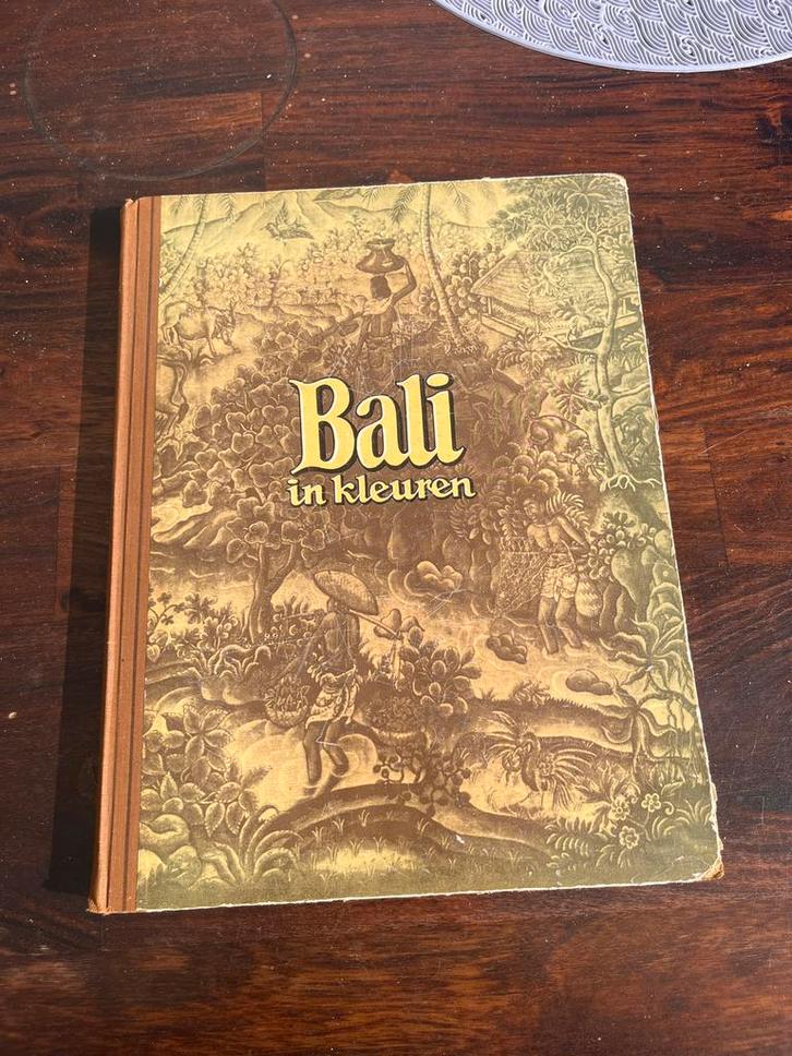 Bali in Kleuren - Reisgids, Boeken, Reisgidsen, Gelezen, Reisgids of -boek, Azië, Overige merken, Ophalen of Verzenden