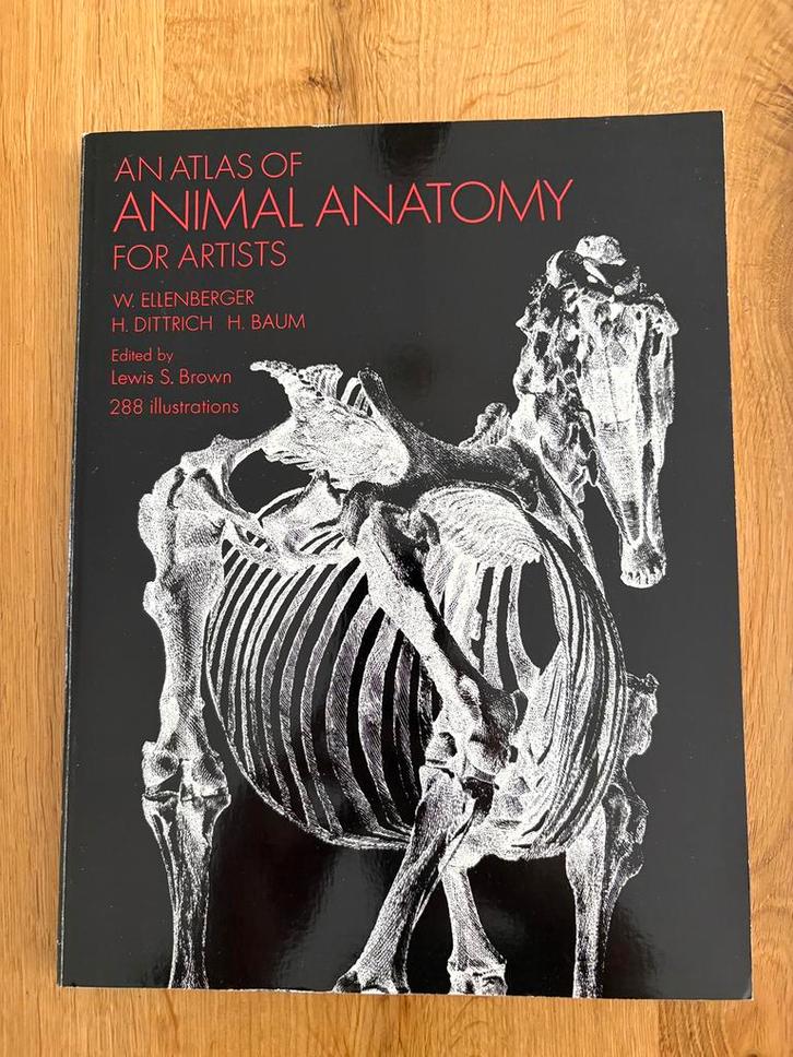 An Atlas of Animal Anatomy for Artists - W. Ellenberger, Boeken, Kunst en Cultuur | Beeldend, Gelezen, Ophalen of Verzenden
