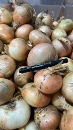Grote gele Uien >80mm - Horeca Kwaliteit - Pallet, Ophalen