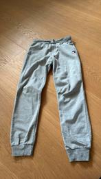 Grijze joggingbroek Tommy hilfiger maat 8-10 of 128/140, Broek, Gebruikt, Jongen of Meisje, Ophalen of Verzenden