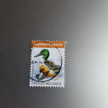 Belgische postzegels vogeltjes Buzin gestempeld beschikbaar voor biedingen
