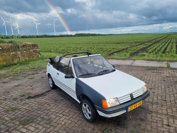Peugeot 205 1.4 CJ Cabriolet S6 1989 Wit beschikbaar voor biedingen