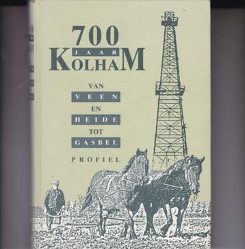 Kolham - 700 jaar van Veen en Heide tot Gasbel beschikbaar voor biedingen