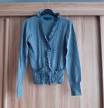 Grijs vestje Blue River - Maat XS, Kleding | Dames, Ophalen of Verzenden, Blue River, Maat 34 (XS) of kleiner, Grijs