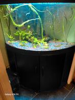 Te koop hoekaquarium, Dieren en Toebehoren, Vissen | Aquaria en Toebehoren, Ophalen, Filter of Co2