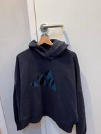 Adida Blauwe Hoodie - Maat XL, Ophalen of Verzenden, Gedragen, Maat 46/48 (XL) of groter, Blauw