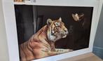 glas schilderij tijger, Huis en Inrichting, Ophalen, Nieuw