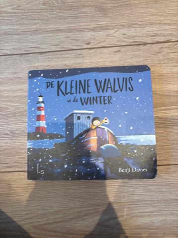 De Kleine Walvis in de Winter beschikbaar voor biedingen