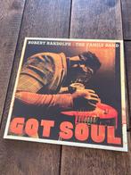 Vinyl Robert Randolph & The Family Band - Got Soul, 2000 tot heden, Ophalen of Verzenden, Zo goed als nieuw, 12 inch