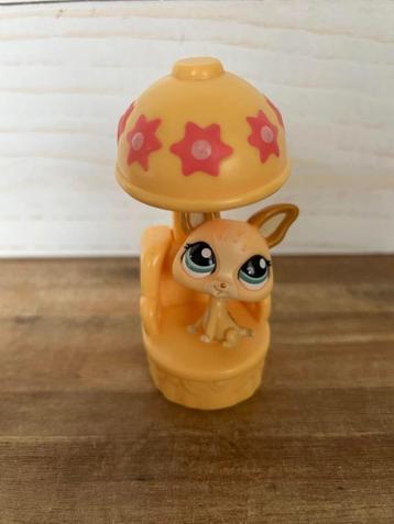 Littlest Pet Shop chihuahua 1656 beschikbaar voor biedingen