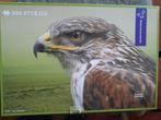 Legpuzzel de buizerd 500 stuks, Hobby en Vrije tijd, Ophalen, 500 t/m 1500 stukjes, Zo goed als nieuw