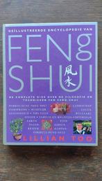 Feng Shui boek, Ophalen of Verzenden, Zo goed als nieuw, Spiritualiteit algemeen, Overige typen
