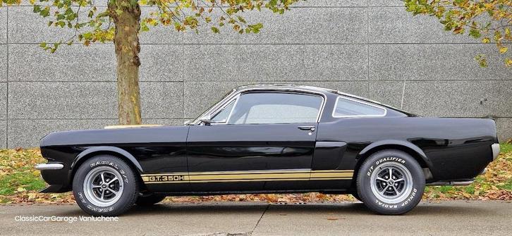 Mustang Shelby GT350H  tribute, Auto's, Ford, Bedrijf, Mustang, Benzine, Handgeschakeld, Zwart, Zwart, Kunstmatig leder, Achterwielaandrijving