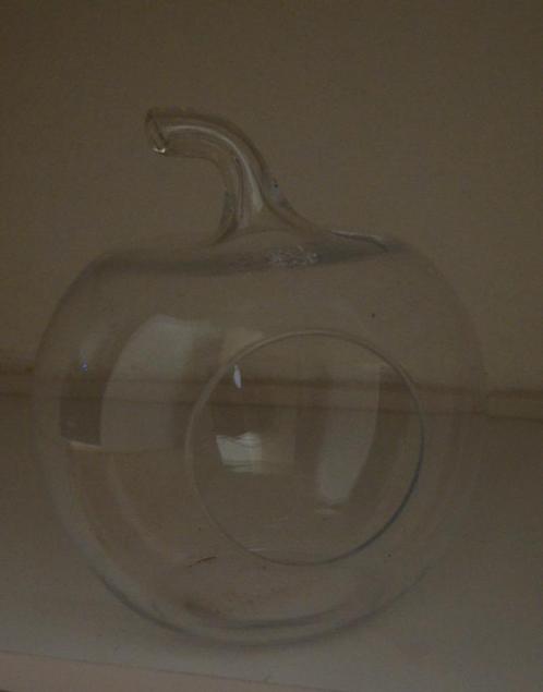 Glazen appel planten / vaas, Huis en Inrichting, Woonaccessoires | Vazen, Gebruikt, Overige kleuren, Minder dan 50 cm, Glas, Ophalen