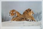 Poster; Tijgers in de sneeuw, Verzenden, Rechthoekig Liggend, Nieuw, A1 t/m A3