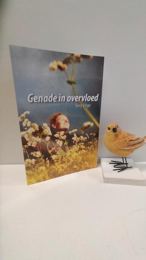 Virgo, Terry; Genade in overvloed, Boeken, Godsdienst en Theologie, Gelezen, Christendom | Protestants, Ophalen of Verzenden