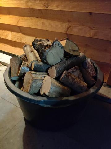 haardhout brandhout beschikbaar voor biedingen