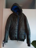 Winterjas Superdry, maat L, Ophalen of Verzenden, A, A, A